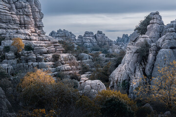 Rocky terrain unusual finger like landforms in karst landscape, El Torcal de Antequera, Spain