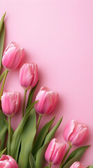 Pink Tulip Flowers on Soft Pastel Background with Copy Space – Elegant Spring Floral Border for Greeting Cards, Invitations, Mother's Day, or Wedding Designs