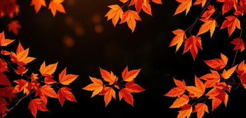Vibrant orange autumn leaves, black backdrop, golden light sparkle, gold, contrast