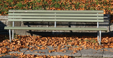 Sitzbank im Herbst in freier Natur. Eine freie öffentliche Sitzbank an einem sonnigen Herbsttag....