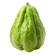 green payara isolated on white