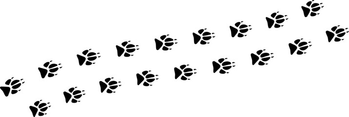 Paw vector foot trail print . Dog,cat,bear,wolf,chicken,cow, crocodile, donkey, duck, elephant and other silhouette animal. Paw print trail on transparent background. Vector illustration