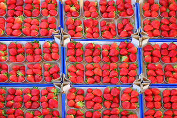 background of trays full of large ripe red strawberries for sale at the supermarket in spring