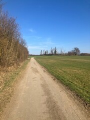 Frühlingserwachen auf dem Wälkesberg in Menden im Sauerland