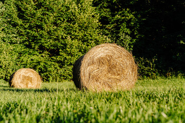 Polskie rolnictwo, bal siana © Piotr Gaborek 