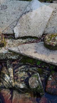  Fallen statue in a flooded grave and open empty tomb in a desecrated cemetery