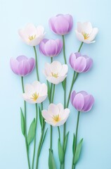 Colorful paper tulips on soft blue background elegant floral arrangement for spring decor and modern aesthetic themes
