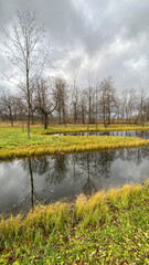 A pond and tree crowns without foliage in an autumn landscape, small islands, reflections of tree branches in water, green grass and yellow leaves on the ground.