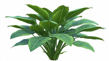 Lush green foliage plant cluster