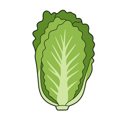 Flat Color Vector Set of Fresh Fruits and Vegetables on White Background