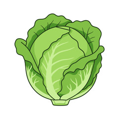 Flat Color Vector Set of Fresh Fruits and Vegetables on White Background