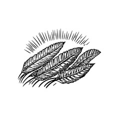 Elegant vintage hand-drawn illustration of engraved leaves showcasing intricate details and bold lines