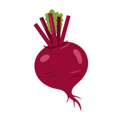 Flat Color Vector Set of Fresh Fruits and Vegetables on White Background