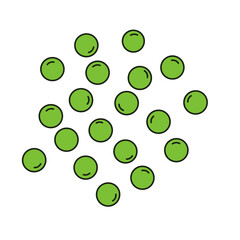 Flat Color Vector Set of Fresh Fruits and Vegetables on White Background