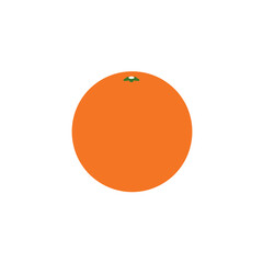 Flat Color Vector Set of Fresh Fruits and Vegetables on White Background