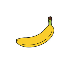 Flat Color Vector Set of Fresh Fruits and Vegetables on White Background