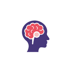 human brain on white background