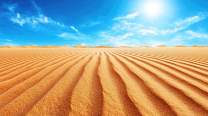 Fototapeta premium The golden sand dunes of Namibia stretching under a brilliant blue sky
