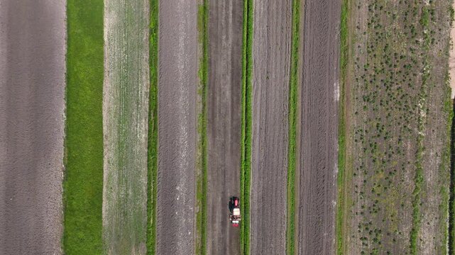 Overhead Drone View of Tractor Cultivating Rows in Agricultural Field