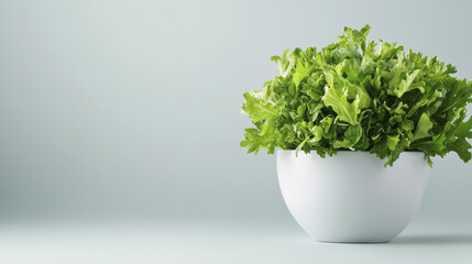 Fototapeta premium Fresh green lettuce in white bowl on light background, perfect for healthy meals
