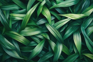 Fototapeta premium Intricate arrangement of lush, dark green leaves, creating a dense, textured natural background.