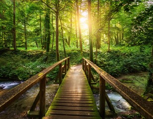 Obraz premium Lush green forest with sunlight filtering through dense foliage, a small wooden bridge over a stream
