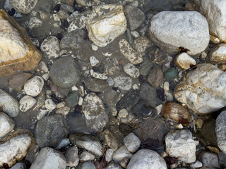 Riverbed Stones Detail: Natural Rock Texture