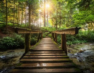 Lush green forest with sunlight filtering through dense foliage, a small wooden bridge over a stream