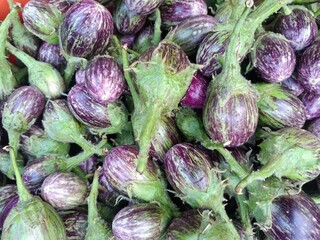 purple eggplants in a market also known as brinjal 