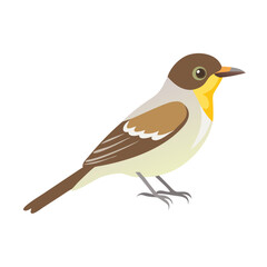 Fototapeta premium Bird's Eye View: A vibrant illustration captures a detailed image of a bird, rendered in vivid colors. with a simple backdrop.