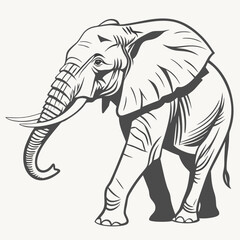 Fototapeta premium Majestic Elephant Silhouette: A detailed silhouette of a majestic elephant, showcasing its impressive size, long tusks, and distinct features, perfect for designs or illustration.