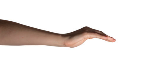 Female hand in a cupped shape with fingers gently curved, symbolizing offering, receiving, or holding. Natural side view with a smooth and relaxed posture. Isolated on white background..
