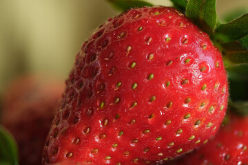 juicy red strawberry with green leaves close-up