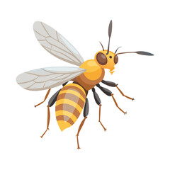 Buzzing Beauty: A detailed illustration of a bee. Showcasing its delicate wings, striped abdomen, and intricate features.