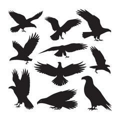 A white background with 12 black silhouette illustrations of eagles in various poses and styles.