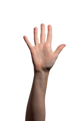 Fototapeta premium Female hand raised with an open palm, symbolizing greeting, waving, or a high-five gesture. Fingers spread apart in a natural position, conveying communication and interaction. Isolated on white