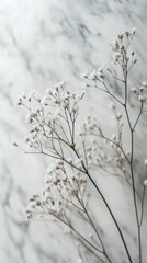 Delicate white flowers on marble background highlighting elegance and simplicity