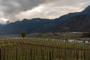 Landscape of Eppan an der Weinstrasse, a town near Bolzano, South Tyrol, Italy