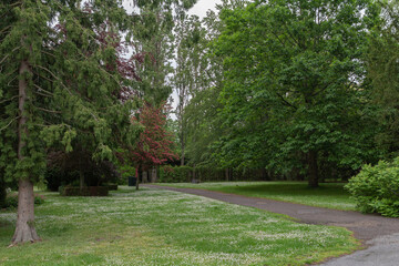 The tranquil and serene atmosphere of Assistens Cemetery in Copenhagen, Denmark, where famed Danish author Hans Christian Andersen is buried.