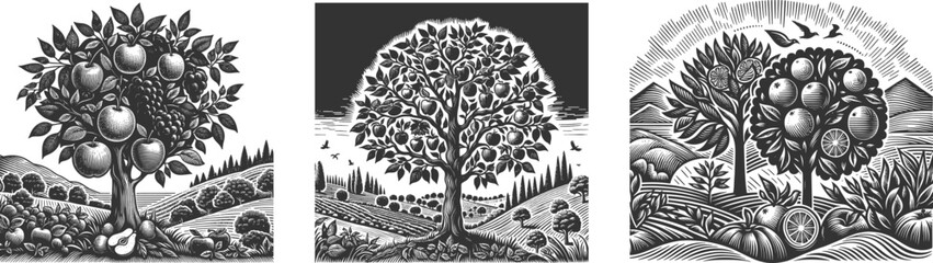 Set Fruits Tree Hills: A harmonious blend of nature&rsquo;s finest, where each fruit tree stands tall on the rolling hills, offering a vibrant landscape filled with color, life, and tranquility