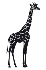 Naklejka premium Black and white Standing Giraffe vector style illustration isolated on white background