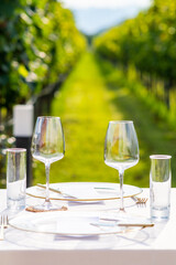 A laid table in the foreground and a neat row of vineyards in the background