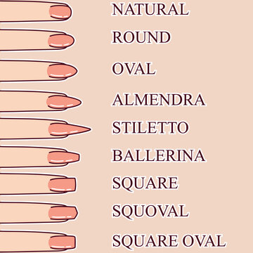 Illustrated guide displaying different nail shapes, including oval, square, stiletto, and ballerina. Useful for professional nail artists, beauty salons, and manicure enthusiasts