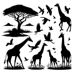 Set of 5 giraffes silhouettes on white background, Giraffe vector illustrations, Birds silhouettes vector white background. 