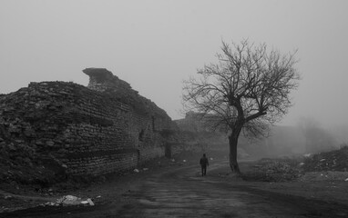 ruins of old castle
