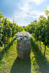 Wine barrel stands between rows of grapes, decorated with a bouquet of flowers, wedding decor