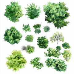 Top View Green Trees and Shrubs Collection &ndash; Vector Watercolor Landscape Design Plan on White Background