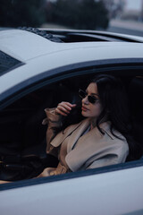Pretty woman sitting and posing in a luxury car