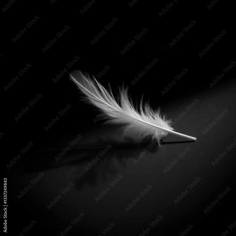 Poster delicate white feather resting on dark surface, illuminated by soft light creating striking contrast