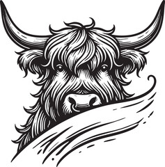 Highland Cow SVG Vector Black Outline Illustration